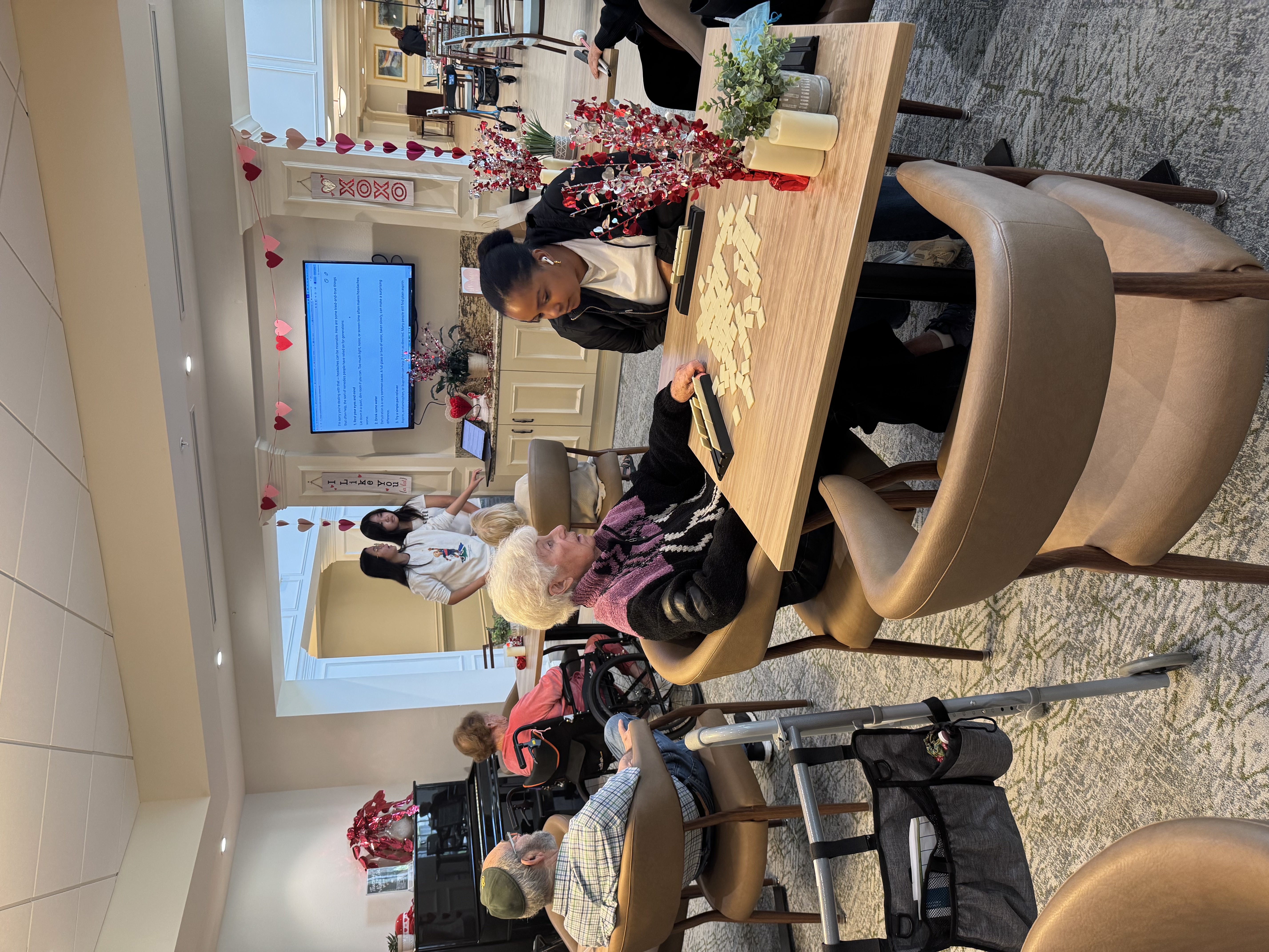 Meridian Boca Program